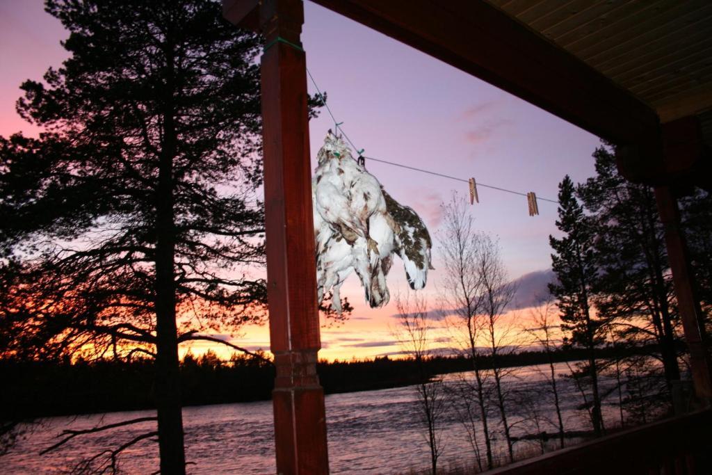 Luongasloma Chalets Palojoensuu ห้อง รูปภาพ